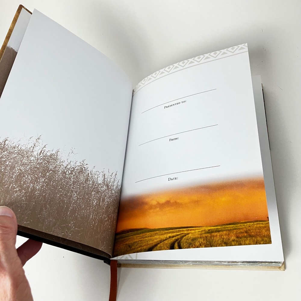 Thomas Nelson Book 100 Devotions from Horse Farm Cara Whitney Hardcover Brown - Picture 8 of 13